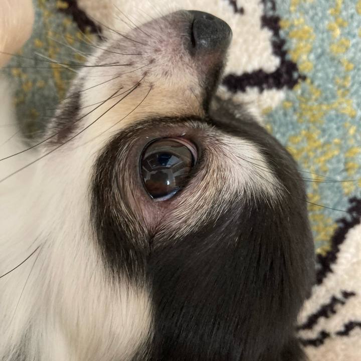 5a34bacb 41a7 4590 b7b8 dea1b1ee2535 1628311426075