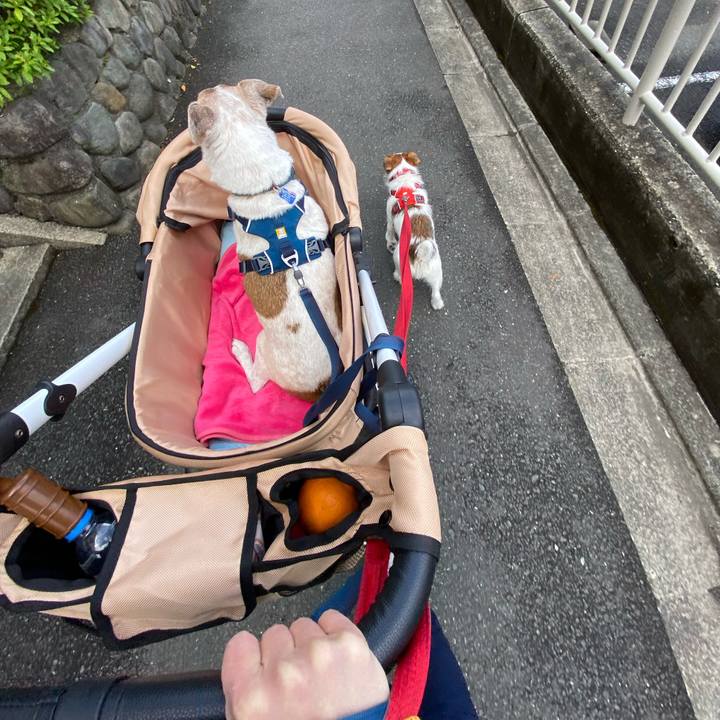 5a34c125 3665 40e9 a784 3f5413e9f9b9 1647743586240