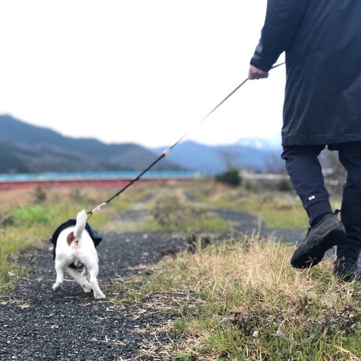 5a34c394 b226 480f 9b41 46128003c128 1549090949302