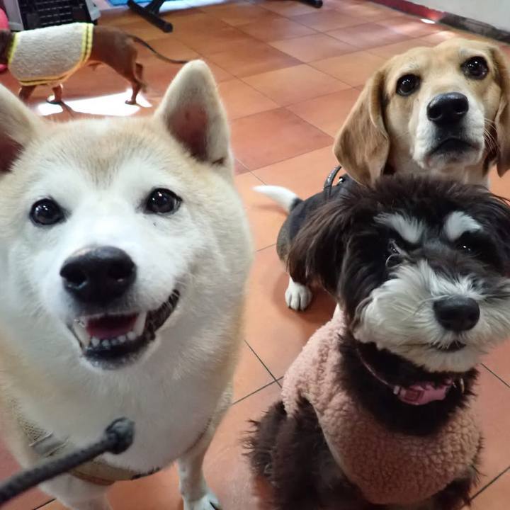 5a34e2db 499a 46c5 82ba 7fc5a99a66ec 1739480847459