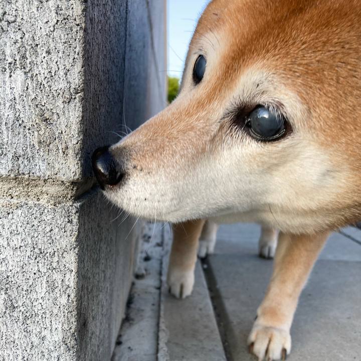 5a35065d 310e 43cd a928 610494a88a1a 1683194027337