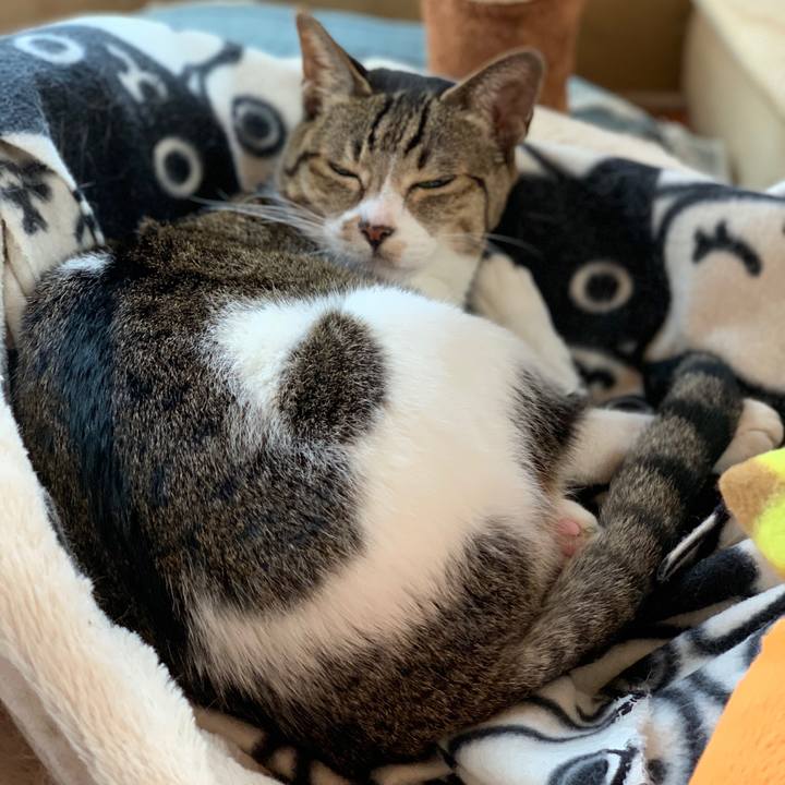 5a352495 081f 490d bc3d 4f90e4acc241 1572832003211