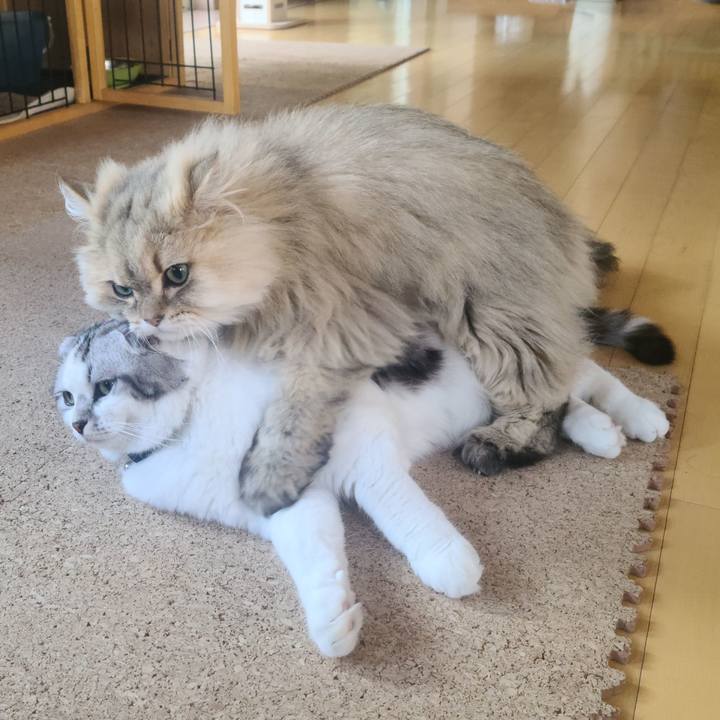 5a354095 09d7 42aa a29c 36cae991c752 1680768847554