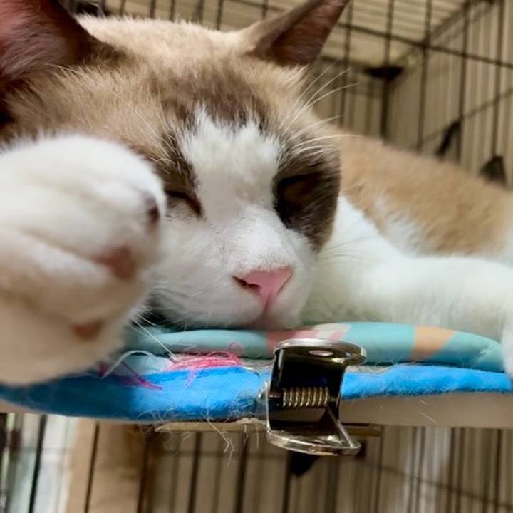 5a356c9e 2690 4ff5 8bc2 0d0ee1ee0a6d 1759053821464