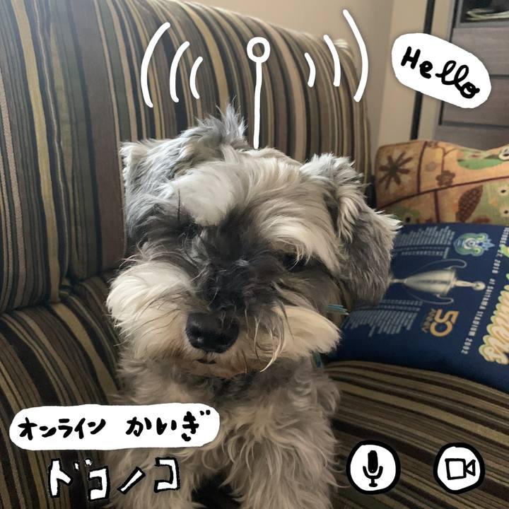 5a358162 2779 45fc 836f 690c26825124 1590801320165