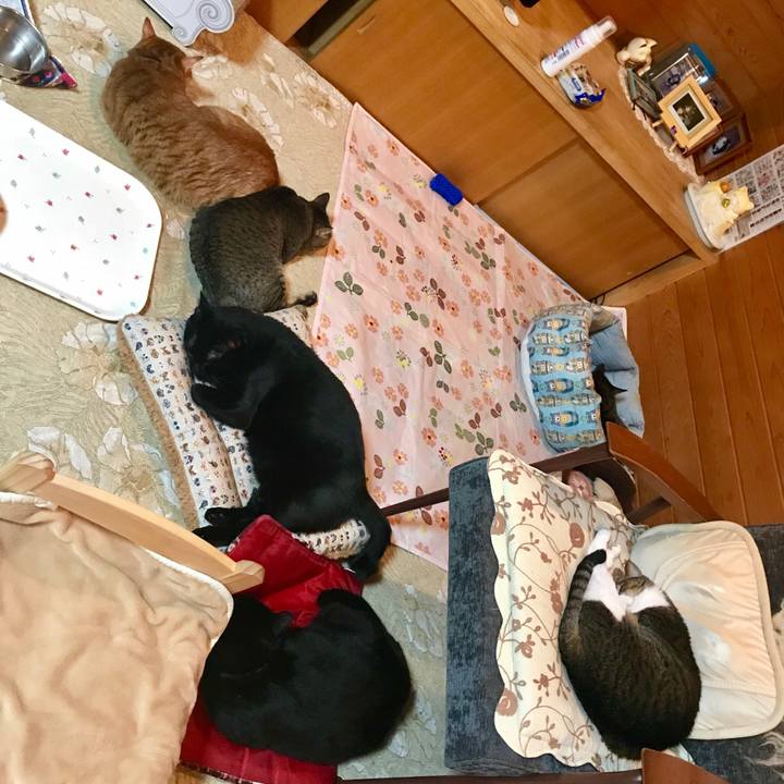 5a3588d1 d870 4ad4 9b12 d30809987d85 1541167316400