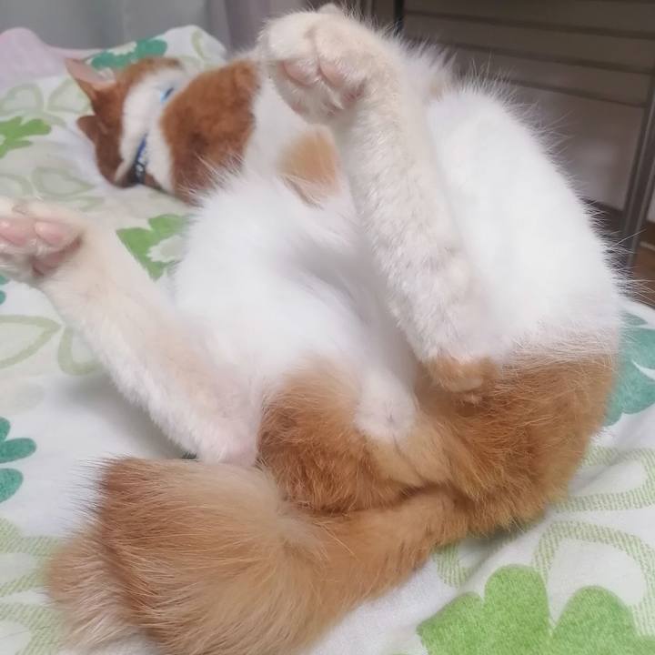 5a35a986 2ada 406c a4cb 31bcc5f5757b 1622814331188