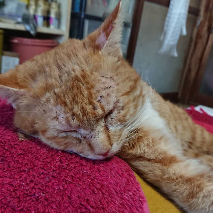 5a35c1f1 74ad 4a1f aea5 63a708ec4214 1550982591389