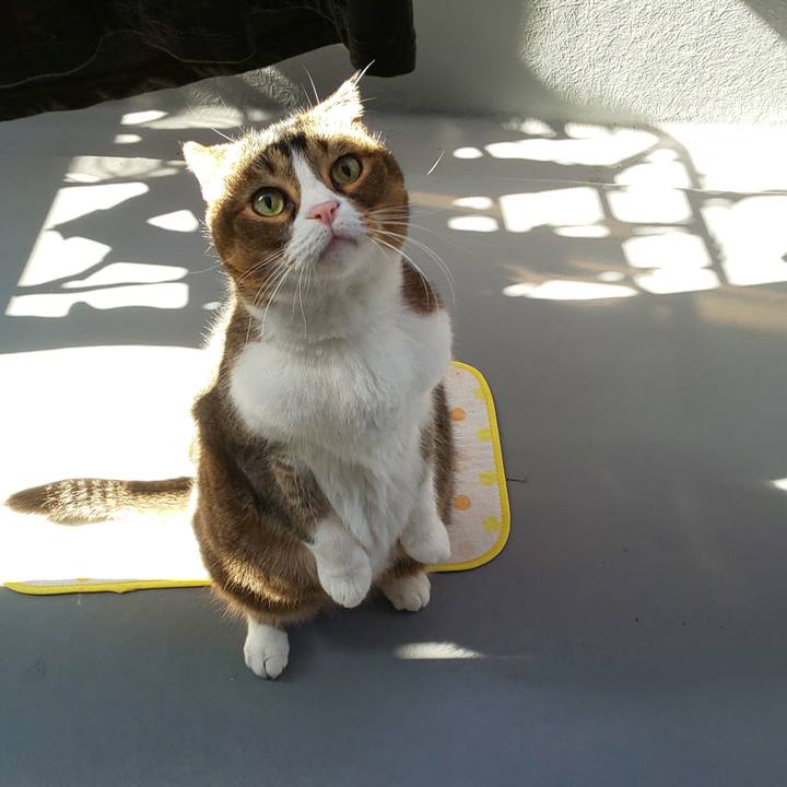 5a35c736 2a3d 43ef acc8 e128ef704bcb 1668222234433