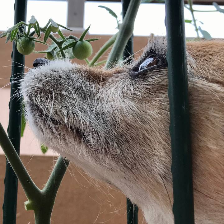 5a35e406 0abb 43a1 ada3 9e1da085558d 1590976897311