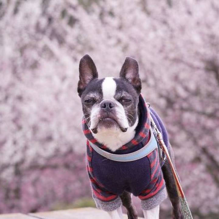 5a35f7e5 37f5 49d3 9edb 741b3a06693b 1551960913203