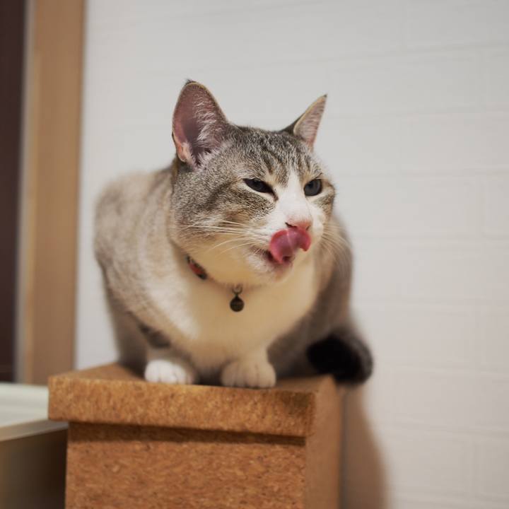 5a360727 42b1 4659 a3b6 15cc457f026c 1590489310088