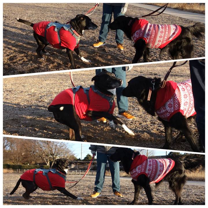 5a361475 da8e 4e23 9ce5 8ae27ae01f41 1736554203513