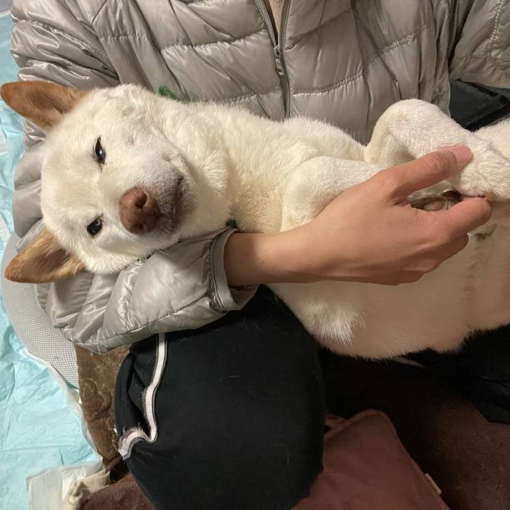 5a3628af ec1b 4662 a3d7 1c92964013ad 1639492474709