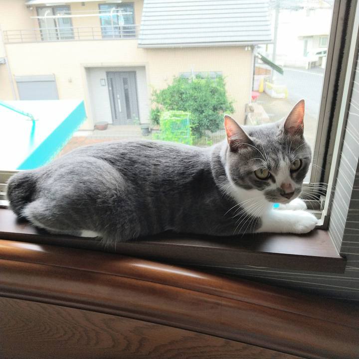 5a36379a 66ff 4727 b32c c987934ceeb2 1595977081450