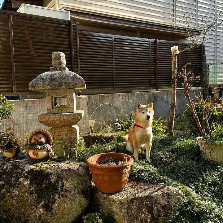 5a364fab 8f81 43f5 971d b7efd5066f30 1773565272499