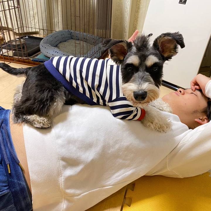 5a3657b3 1a66 40ec a2fe d04ce2fa89a7 1577888568568