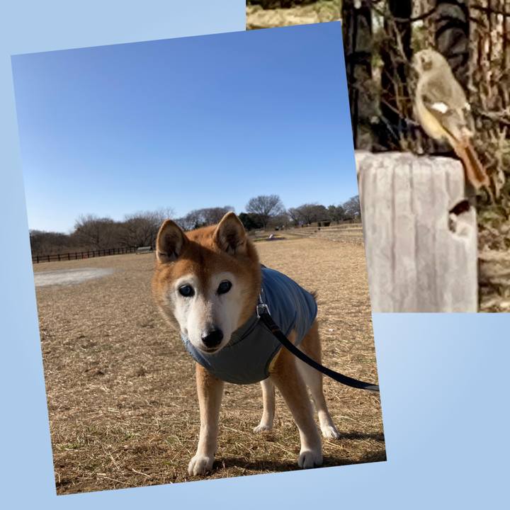 5a3672fd 3308 4a93 bae5 3c298f6fa7bc 1769399434671