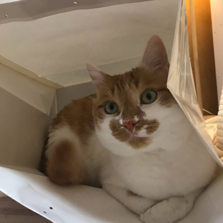 5a36953b 8c94 411a 96ff ca09c3f6da2b 1577878788124