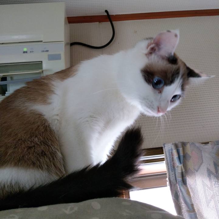 5a36e4fb e548 4ee3 aa94 deb5dab24ab9 1568640688640