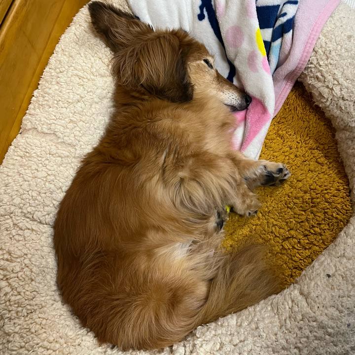 5a37218b 4f17 4e31 8d91 4dc7cd299cf0 1679487253185