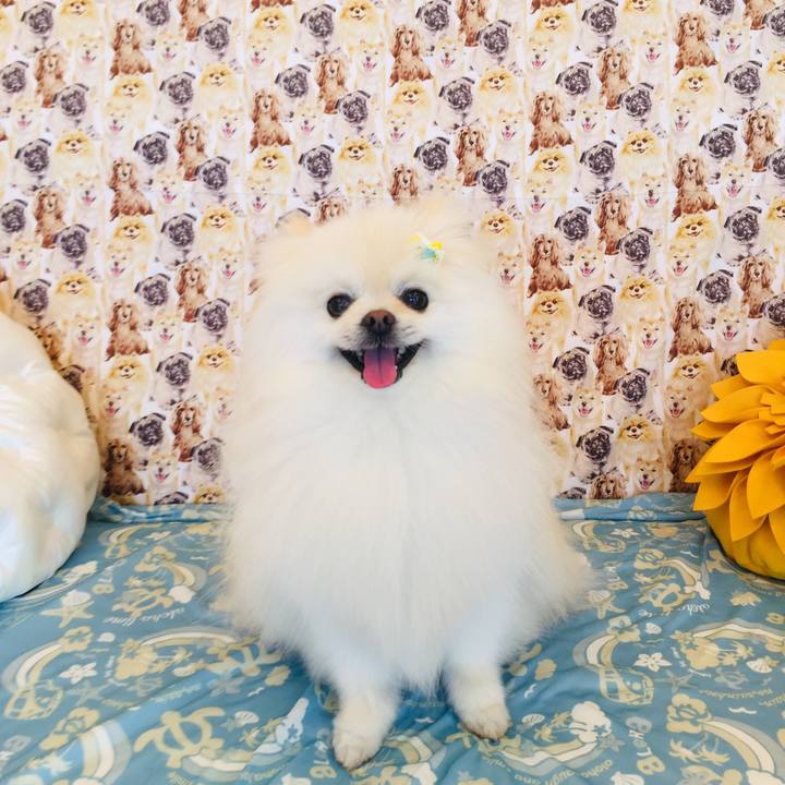 5a377846 a529 4de4 9ea1 f95c88585941 1589172802353