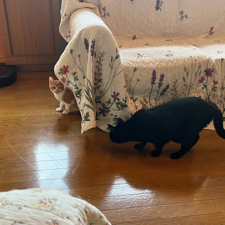 5a378ecc a5c5 4020 b4b9 2e0bbd1477ad 1664231170046