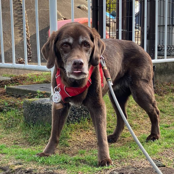 5a379077 8b86 457b 9b34 0777985ee6c0 1775439005299