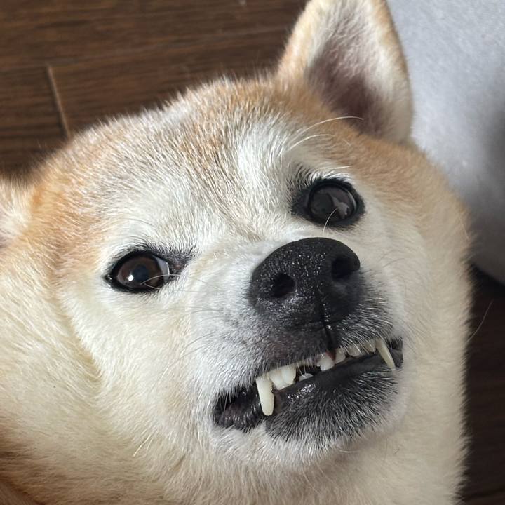 5a37a02e 0dca 4e1b 9b27 0a19e8f100a2 1752356065597