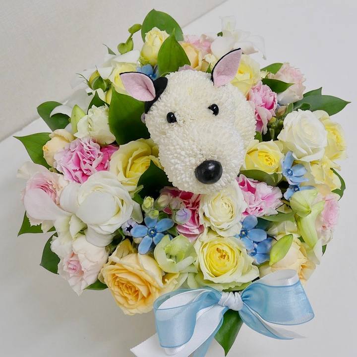 5a37bf2d 42ea 49b3 a233 b4a89ec88a34 1579399652144