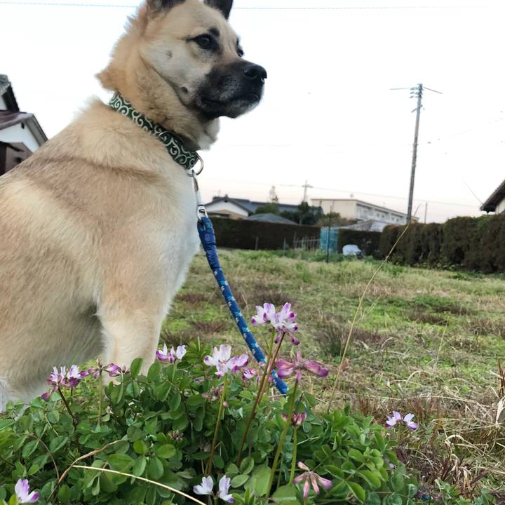 5a37f0c6 99ed 429c be62 cd7fe4124ce7 1552994957579