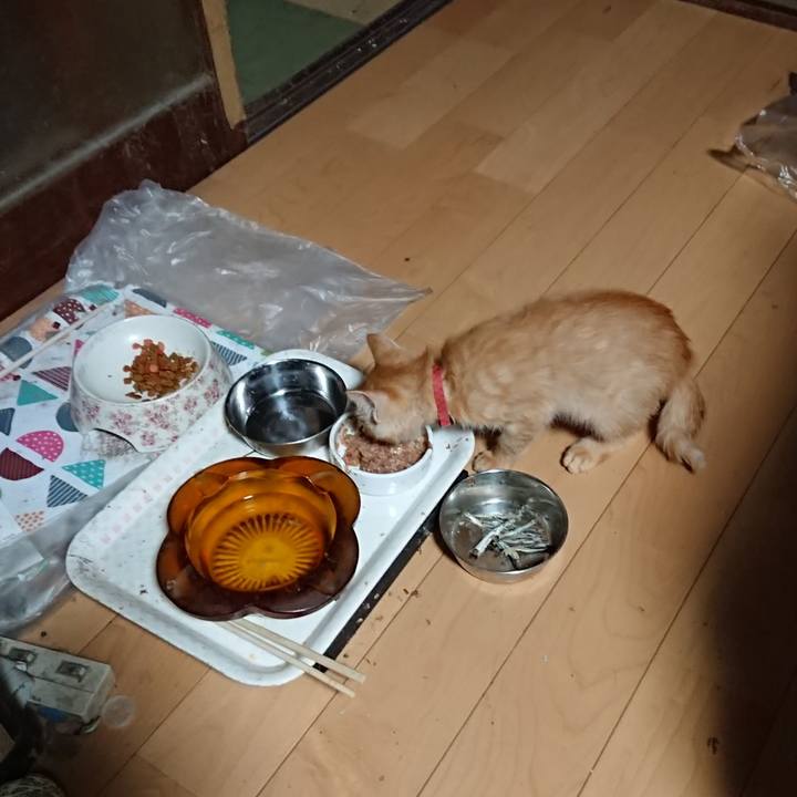 5a37f6e6 8e5d 4ee6 baf7 2437bbf0e1dd 1631134610201