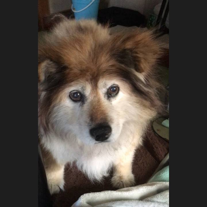 5a381fea a1ad 4543 bd3e ae5b0bdd1a25 1568045245729