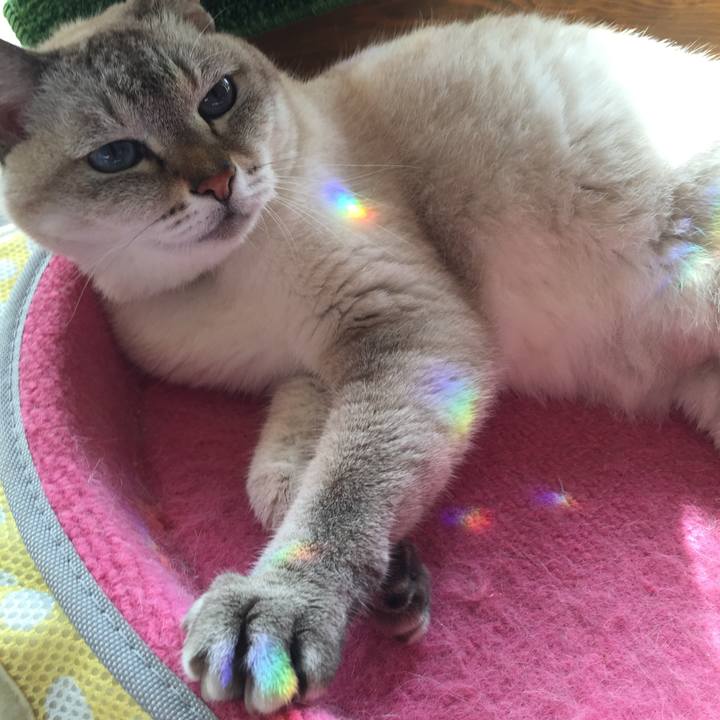 5a3842f1 1ca5 4870 b766 8fe585974759 1540614890809