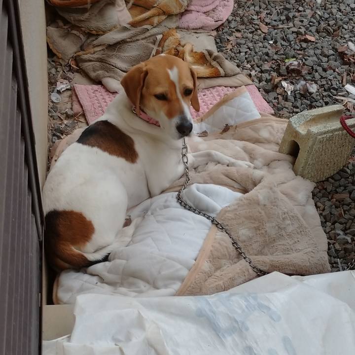 5a38baee a31b 4b45 b997 4b92b19542bd 1583737651519