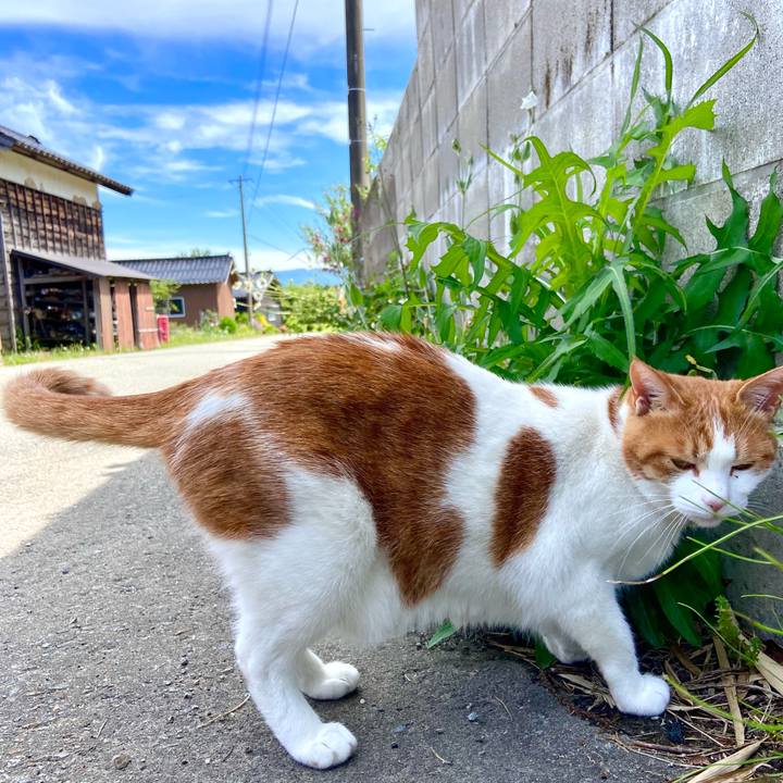 5a38d2e2 6389 4499 a91e d9ad5bb73315 1622876198691