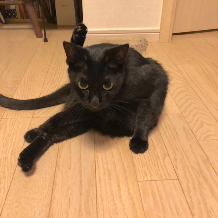 5a38f06b e186 49ff 82a9 93344b340833 1537367407115