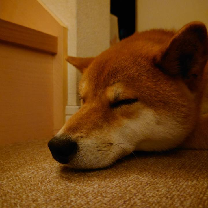 5a38f164 75cf 4c72 b4b5 1b5053ccde90 1757627526712