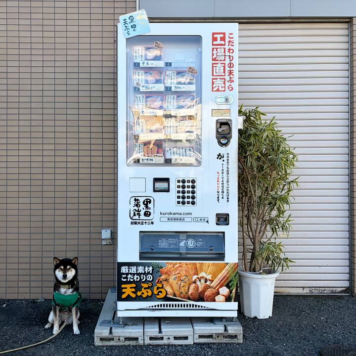 5a3904b9 b21c 4534 a387 40cd76064f5e 1768049409304