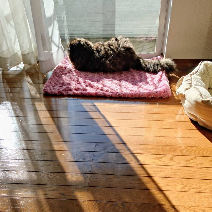 5a391bea 7690 425a ad57 000e26f47113 1768371184119