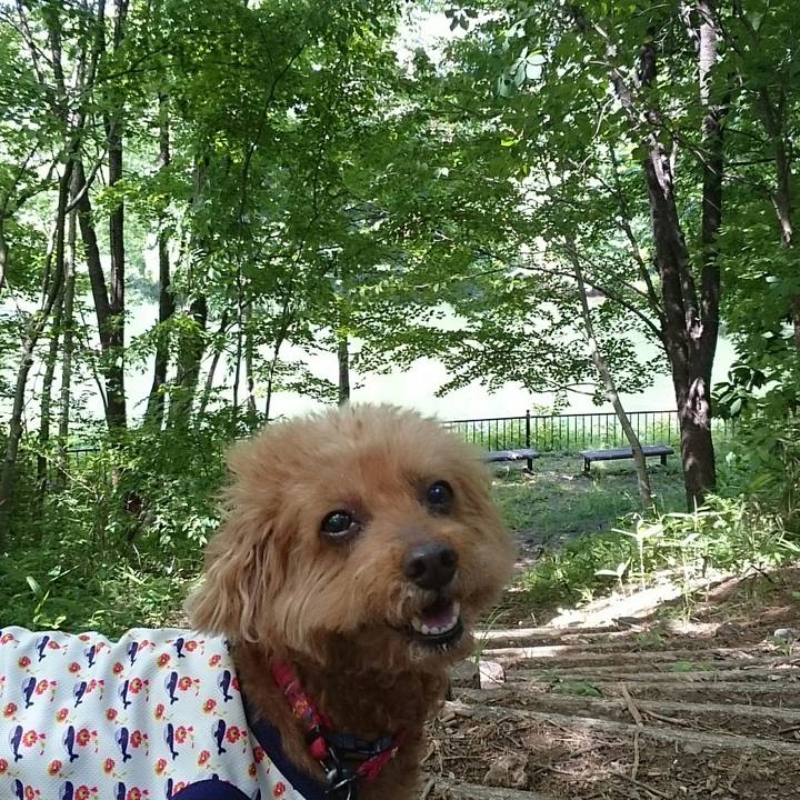 5a392416 153c 4810 82a0 4a807ac0e145 1527211188965