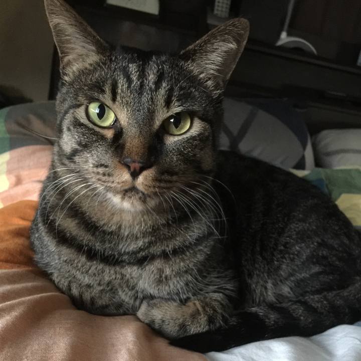 5a392b7a 7683 4fda 9938 57bb0c0536d9 1624438011987