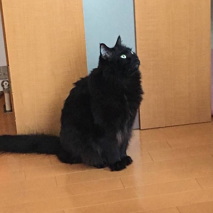 5a3930a4 69b4 4433 88bc 84473201cef2 1517283569584