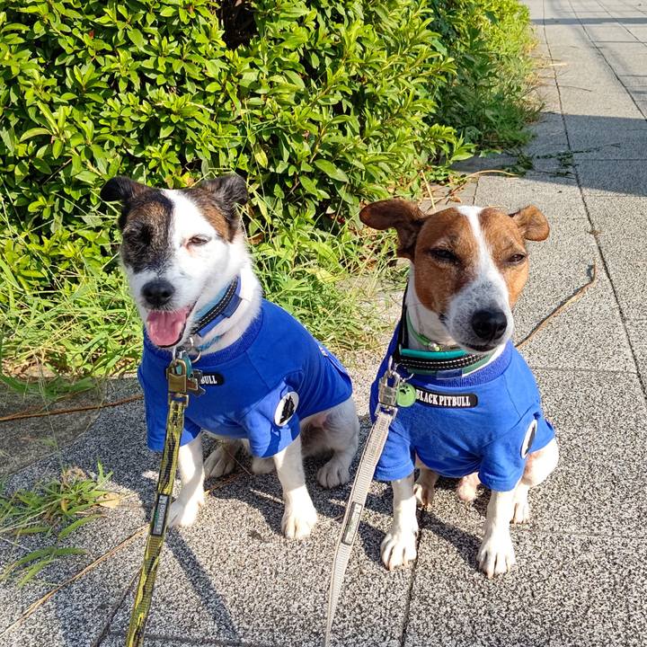 5a395b40 7233 4643 80c9 89275fd07529 1690066016446