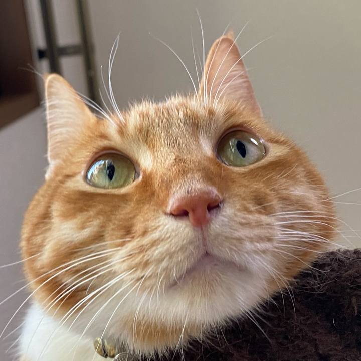 5a39874b f971 490b b88f 0315e3be0ac8 1619845183778