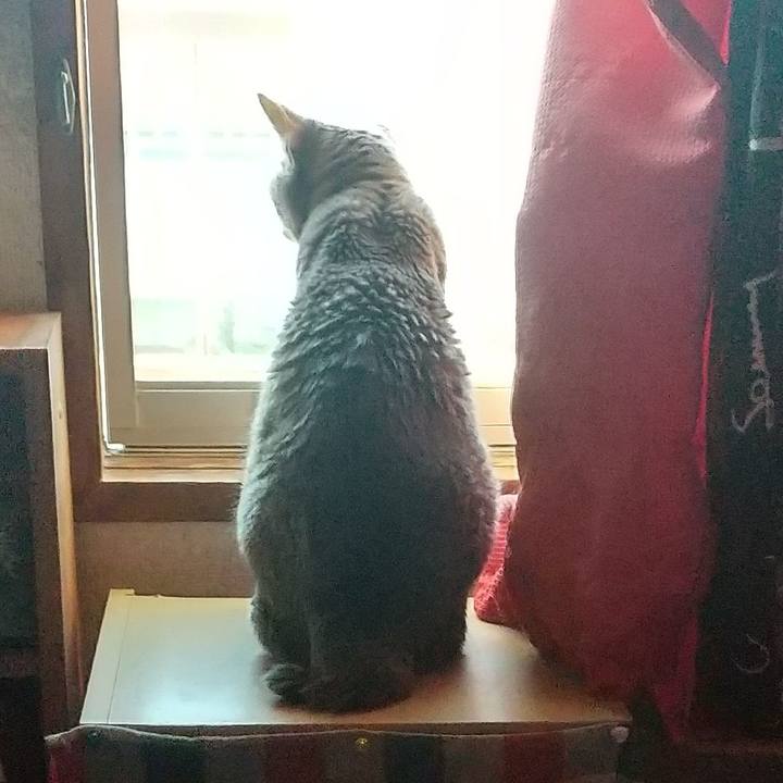 5a399821 cc21 4553 b279 eb655c3cc166 1664094567287