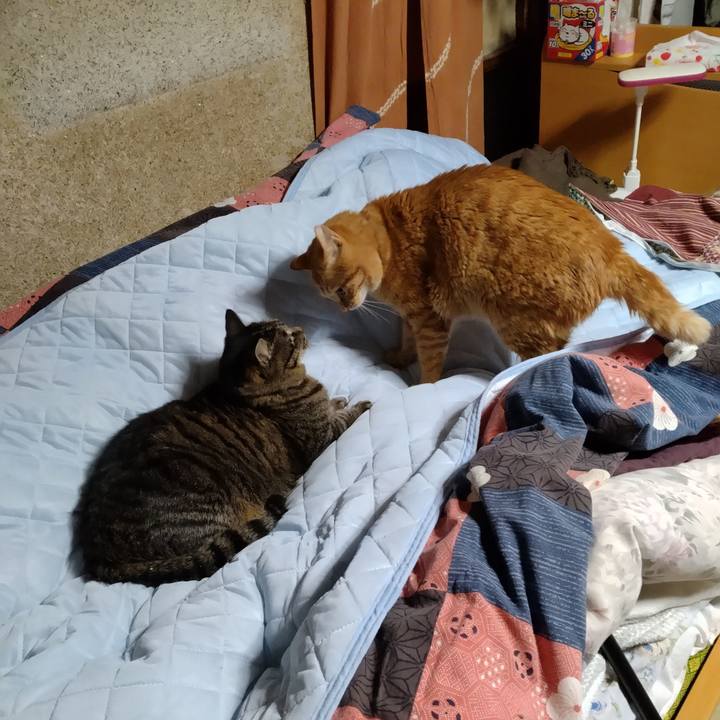 5a39ec84 ee0a 47ed a172 34985f37b9ec 1710244806691