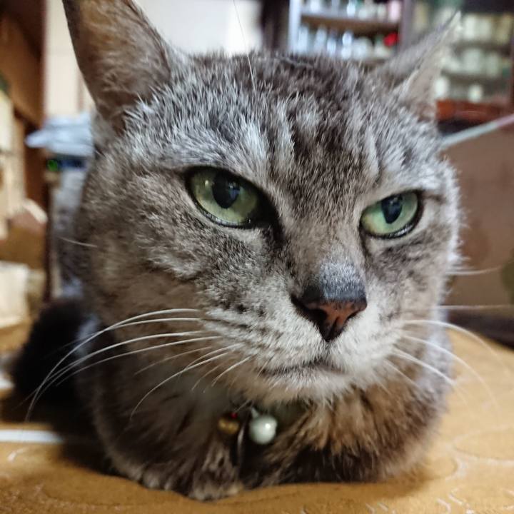 5a3a070c c5ad 407b b260 7f6944463d83 1562759997526