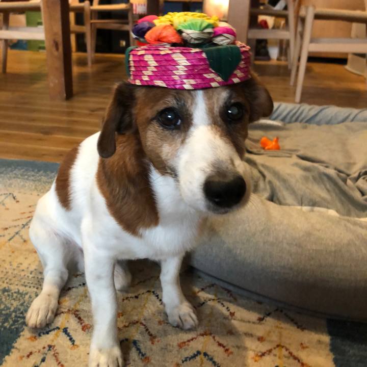 5a3a0adb 87bf 4159 84e4 cc8786f59d96 1580197022190