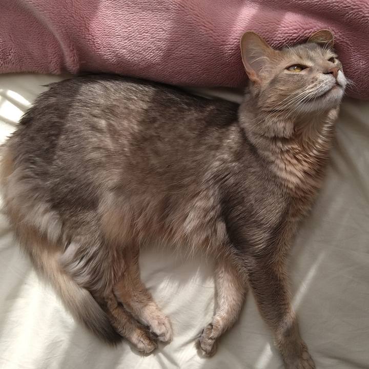 5a3a468c 5b38 44da abbd 3b4fdd5fd9ec 1613278727973